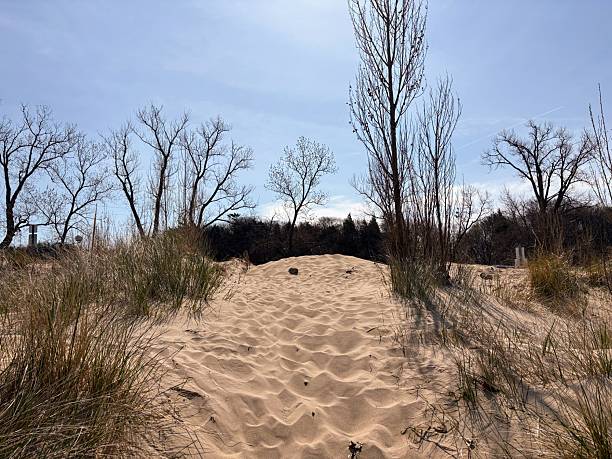 USA Massachusetts Cape cod man hiking