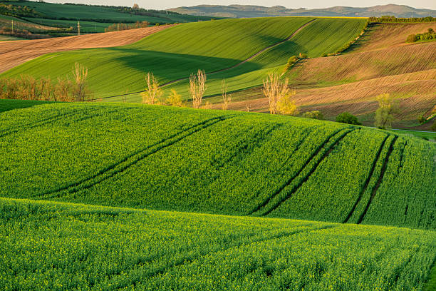 istock Colorful agriculture landscape at spring 2211976204
