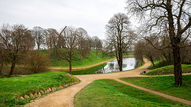 A tranquil outdoor scenery featuring multiple walking paths converging near a serene pond lined with trees