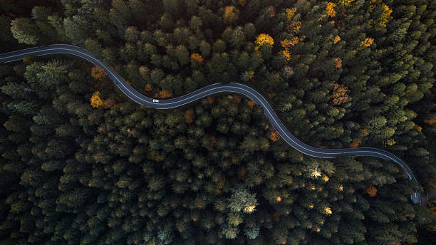 istock Curved Road Through Dense Trees Captured from Above 2211980037