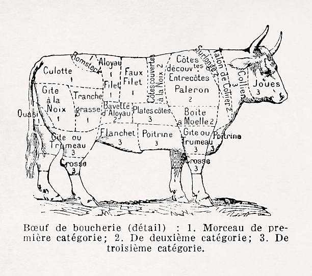 Illustration is a French butcher's chart of beef cut sections, showing the different cuts of beef categorized into first, second, and third quality parts, labeled with traditional French names like Aloyau, Paleron, Faux-Filet, and more.