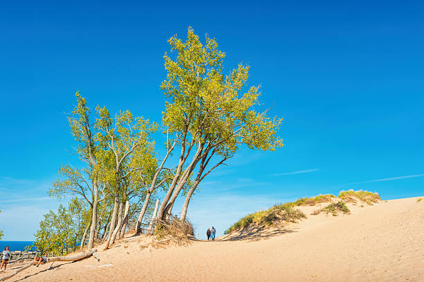 People hike in Sleeping Bear Dunes National Lakeshore in Michigan, USA on a sunny day.