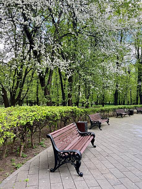 istock Calm beautiful public park in Moscow 2211981104