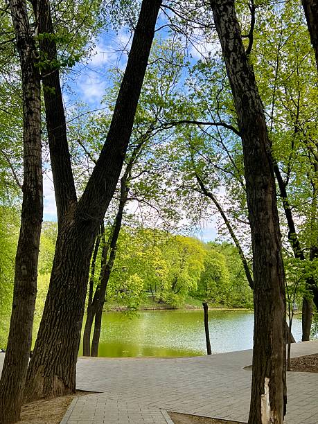 istock Calm beautiful public park in Moscow 2211981110