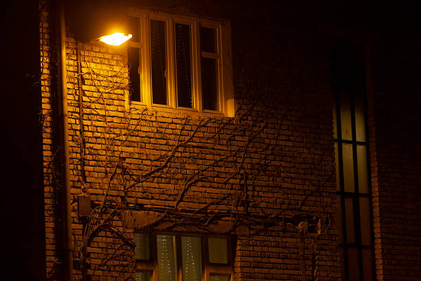 A beautiful nighttime view of a textured brick wall, illuminated by warm light, highlighting shadows and creeping vines