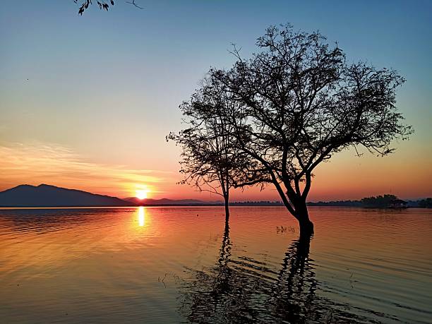 istock Silhouette Trees at Reservoir Sunset in Ratchaburi, Thailand 2211990513