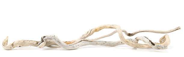 Bleached dry aged drift wood.