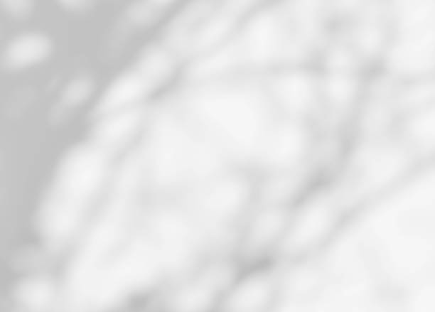istock Shadow of leaves tree plant overlay on white wall. 2211992958