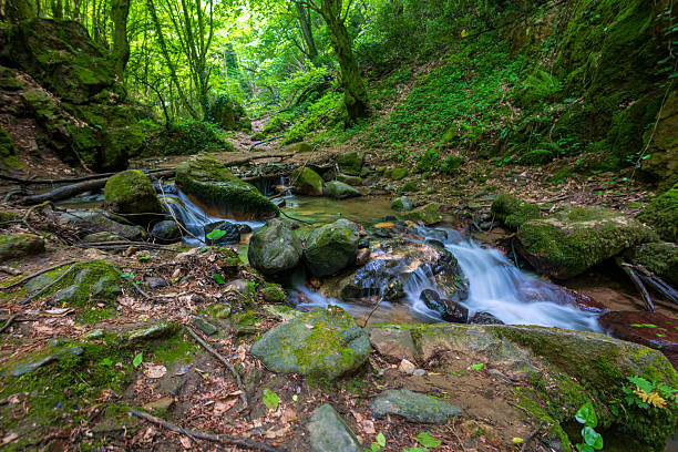 istock Small waterfall flowing through mossy rocks in the forest 2211995127