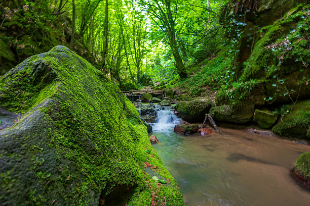istock Small waterfall flowing through mossy rocks in the forest 2211995128
