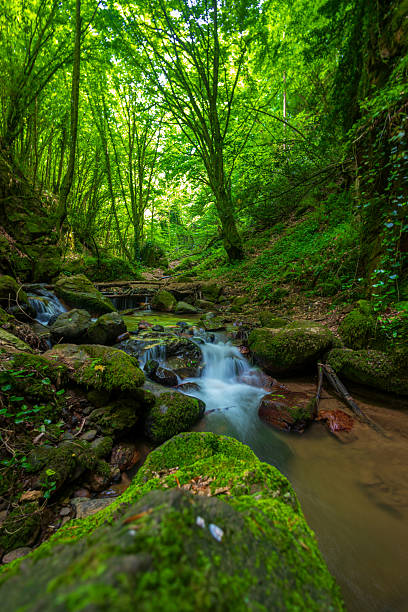 istock Small waterfall flowing through mossy rocks in the forest 2211995302