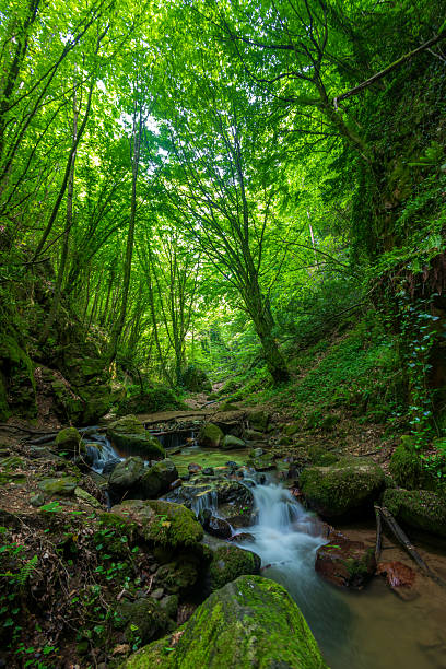 istock Small waterfall flowing through mossy rocks in the forest 2211995304