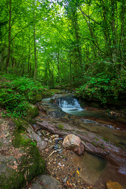 istock Small waterfall flowing through mossy rocks in the forest 2211995337