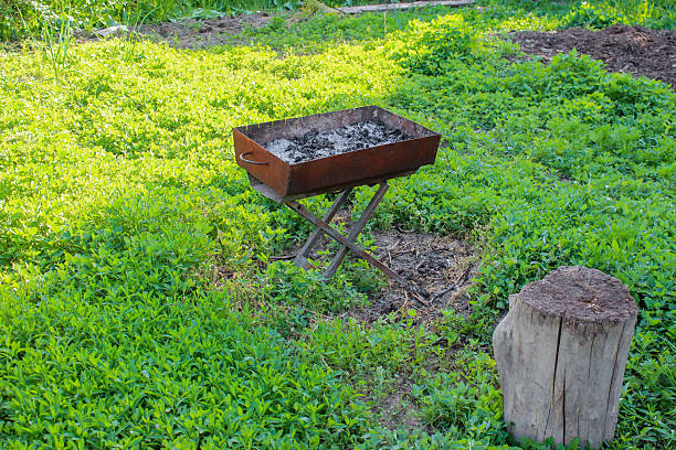 Brazier with ashes from firewood on the green grass background. Metal barbecue grill after cooking shashlik. Old small stump is used as a stool.