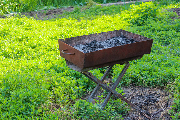 Brazier with ashes from firewood on the green grass background. Metal barbecue grill after cooking shashlik.