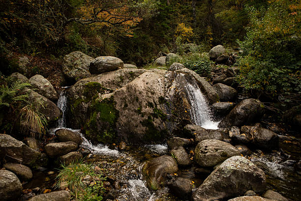 Stream of water descending the rocks
