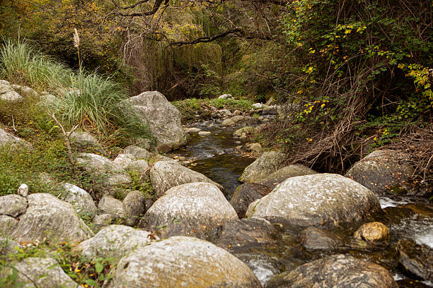 Stream of water descending the rocks