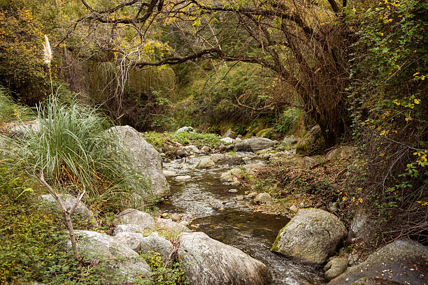 Stream of water descending the rocks