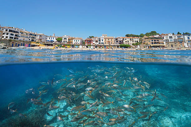 istock Seaside town Mediterranean coast Spain with fish underwater 2212009738