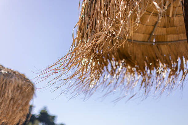 istock Tranquil scene with beach umbrella on wind 2212009798