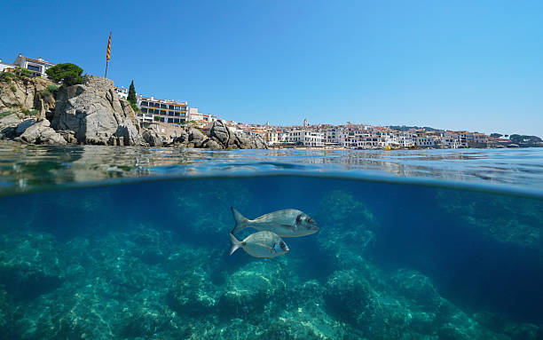istock Spain town on the Mediterranean coast Costa brava 2212010733