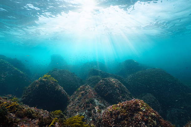 istock Sunlight underwater with rocks on the ocean floor Atlantic ocean 2212011439