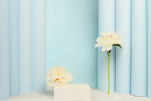 istock Empty premium podium and beautiful flower arrangement with peonies,Stage for product display and business concept for shopping promotion. elegant beauty concept, minimal modern aesthetic, 2212015521