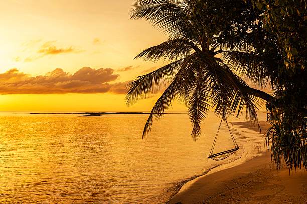 istock Coconut palm tree and beautiful sea on tropical paradise beach 2212019228