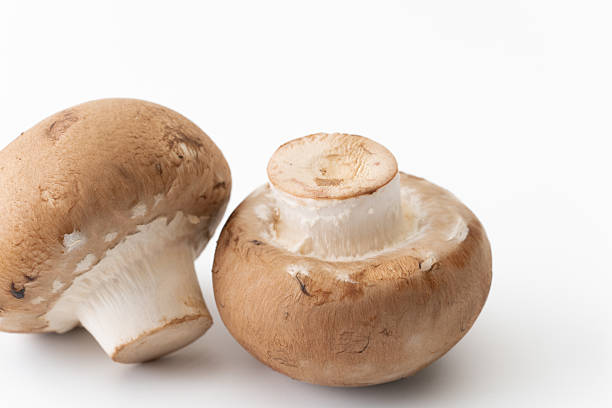 istock Brown mushrooms against a white background 2212027664