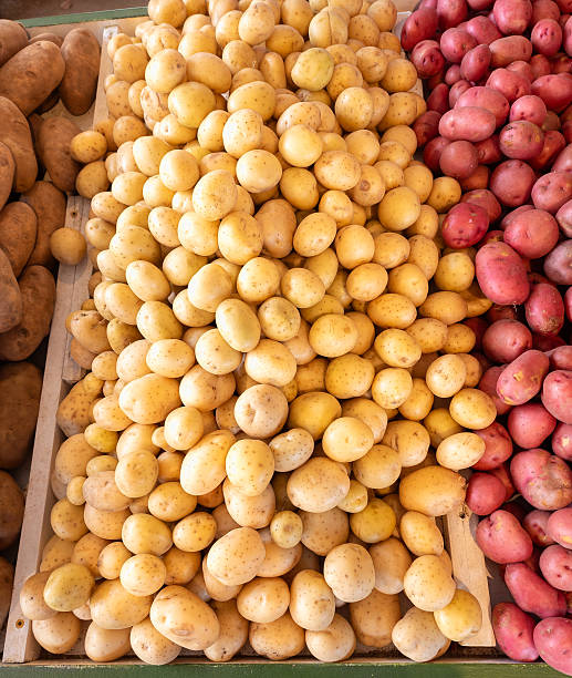 Yellow Potato's at the farmers market