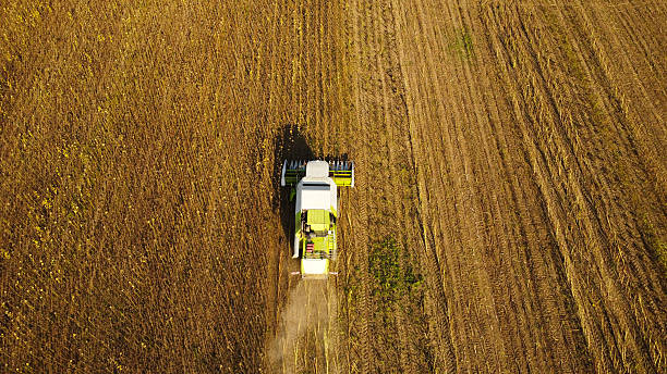 istock Harvester on sunflower field 2212038119