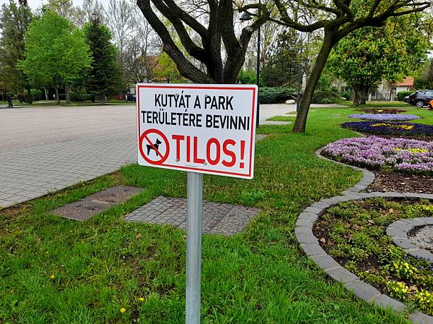 Public park in Batorbagy, Hungary 2025 april with no dog table