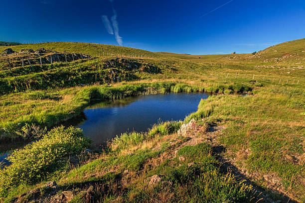 + Small watercourse winding through arid plains and passing under an old stone bridge in the valleys of Occitania.