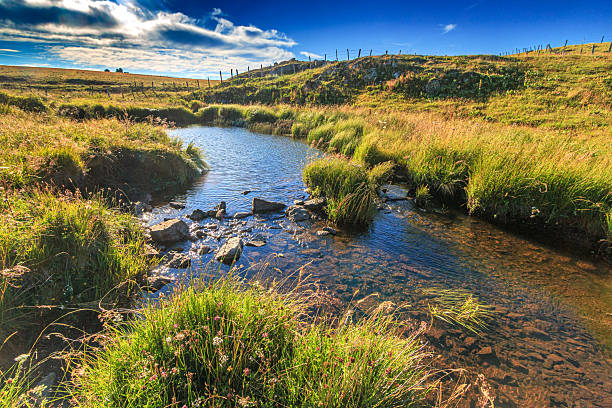 + Small watercourse winding through arid plains and passing under an old stone bridge in the valleys of Occitania.