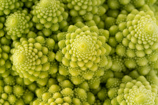 Gros plan de chou romanesco