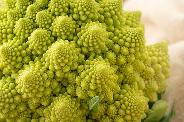 Beautifully shaped fresh Romanesco broccoli