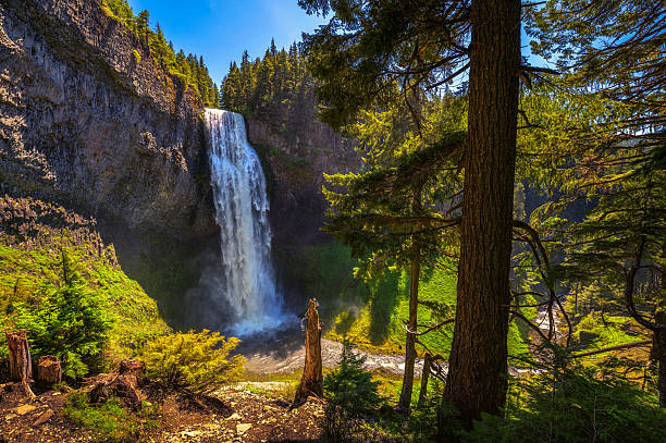 Salt Creek Falls Cascading into Gorge in Oregon Cascade Range, USA