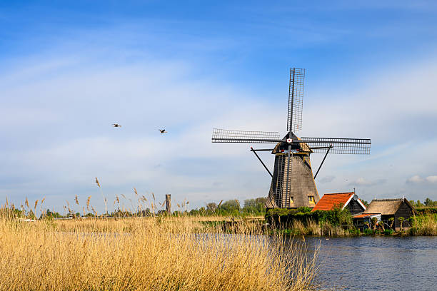 Windmills built in the 18th century at Kinderdijk, a designated UNESCO World Heritage Site in the Netherlands.