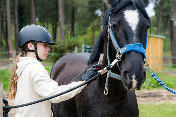 istock Young girl brushing her horse before riding 2212061467
