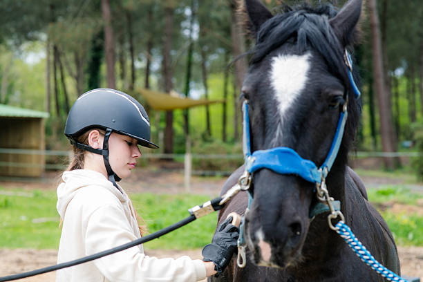 istock Young girl brushing her horse before riding 2212061505
