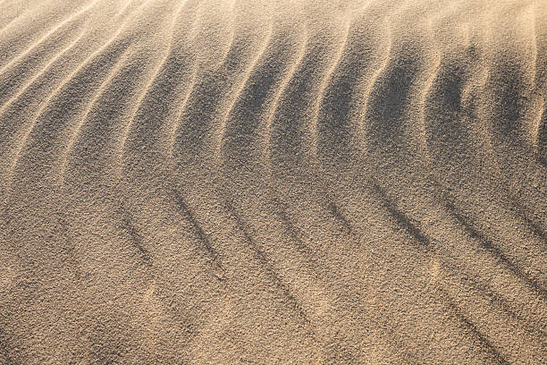 Golden sand ripples form a warm, natural abstract pattern, ideal as a textured background for creative projects and designs.