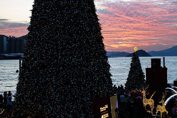 istock Seaside Christmas Trees at Sunset with Mountain Silhouette 2212068014
