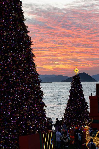 istock Seaside Christmas Trees at Sunset with Mountain Silhouette 2212068021