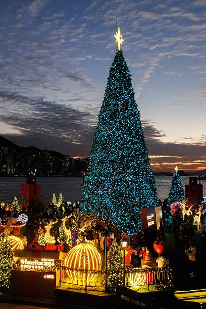 istock Twilight Glow: The Enchanted Christmas Tree by the Harbor 2212068023