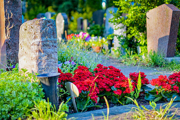 istock Back of several gravestones in a cemetery. 2212068758