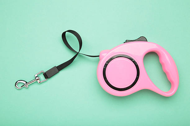 istock Pink plastic durable and ergonomic leash roulette for pets on mint background. Convenient mechanical device for keeping and controlling dog in street. 2212071532