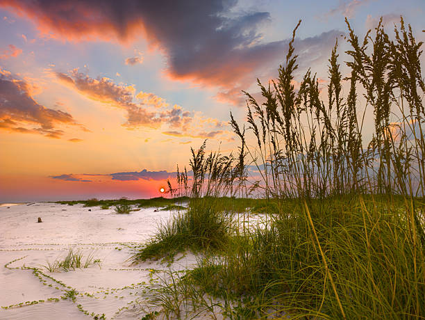 istock Blazing Sunset Over Sea Oats and White Sand Dunes 2212074137