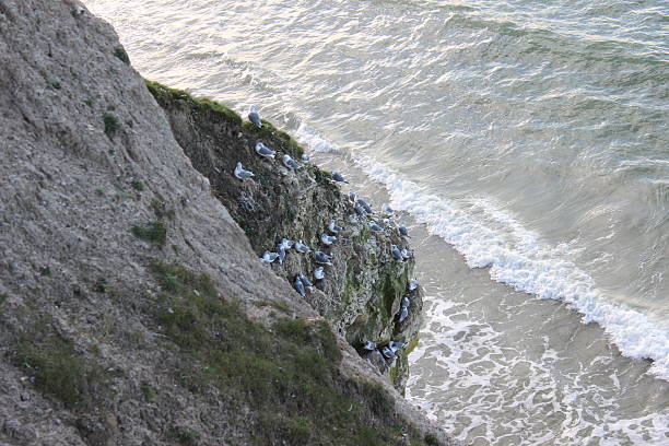Bulbjerg in cliff in northern Jutland, Denmark. Bulbjerg is a limestone cliff in northern Jutland, Denmark with beautiful sea and nature to enjoy.
