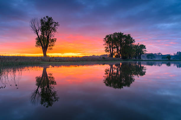 Colorful spring sunrise over the lake