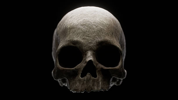 istock Close-up of a human skull on a black background 2212090393